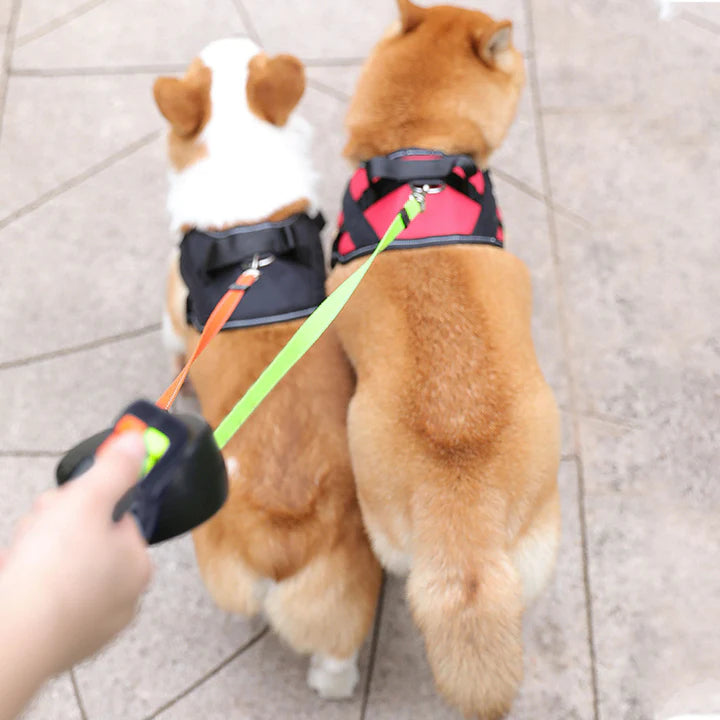 DualWoof™ Einziehbare Hundeleine - Einhandbedienung l Einfache Steuerung | Inkl. Taschenlampe + Hundebeutelhalter