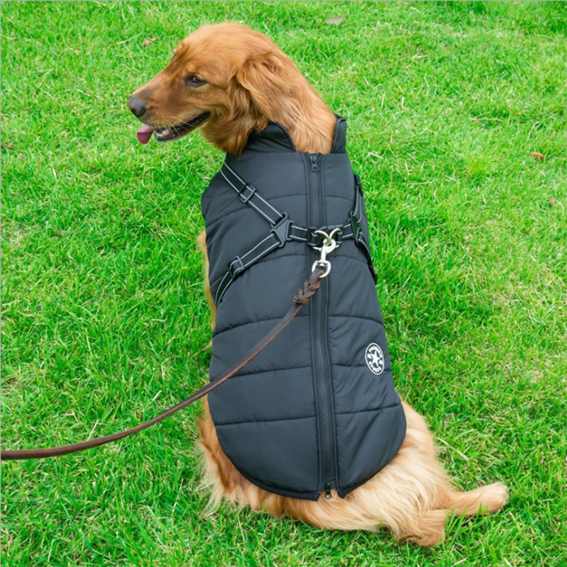 DogJacky™ - Wasserdichter Hundemantel | Integriertes Geschirr für Hundeleine - Schützt vor Kälte